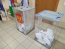 Избирком озвучил предварительные итоги довыборов в Новосибирское заксобарние