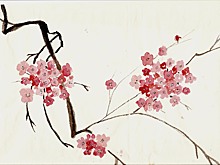 В ЮЗАО проходит выставка “…И сакура в цвету”