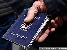 Вассерман: Зеленский хуже меня знает закон о гражданстве Украины