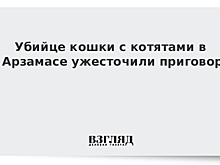 Убийце кошки с котятами в Арзамасе ужесточили приговор