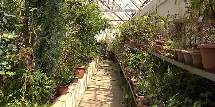 Ереванский ботанический сад готовится к открытию после зимы