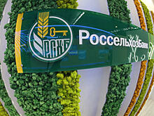 Государство вольет в Россельхозбанк еще 25 млрд рублей