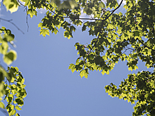 Погоду без осадков прогнозируют в Удмуртии 5 августа