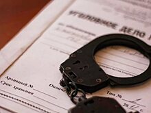 Уголовное дело о фейке о Вооруженных Силах России прекращено в Нижнем Новгороде