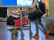 Сотни пассажиров застряли в Домодедово в ожидании багажа