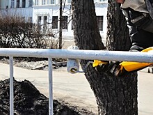 Перечень общественных работ на 2022 год утвердили в Вологодской области