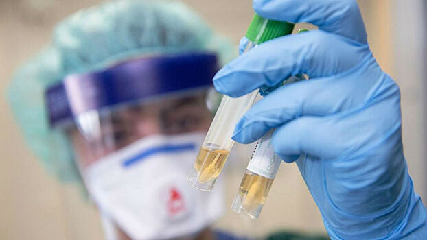 Китайские ученые нашли антитела к коронавирусу