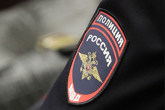 Полиция в Краснодаре начала проверку нападения на женщину собаки в лифте