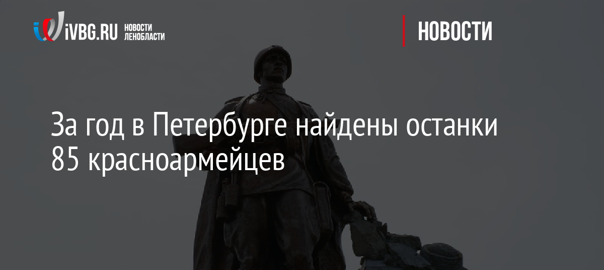 За год в Петербурге найдены останки 85 красноармейцев