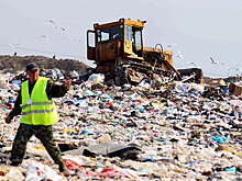 Почему Подмосковье не борется со зловонными свалками