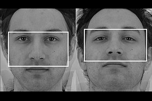 Нейробиологи назвали простой способ заслужить доверие