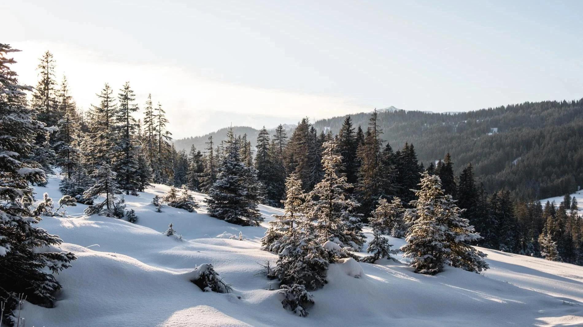 Обнаружены неизвестные снимки из похода группы Дятлова: фото