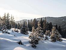 Обнаружены неизвестные снимки из похода группы Дятлова