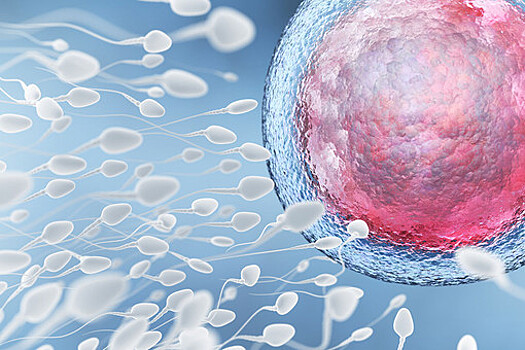 Ученые выяснили, как на качество спермы влияют возраст и токсичные вещества