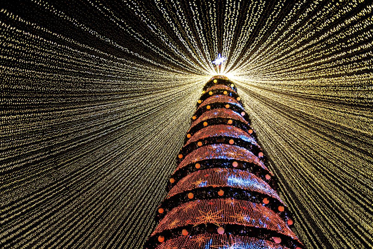 Россиянам предложили праздновать Новый год каждый день