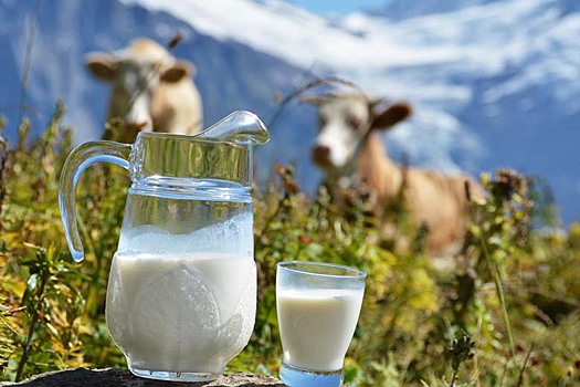Туркменское молоко получило высокую оценку