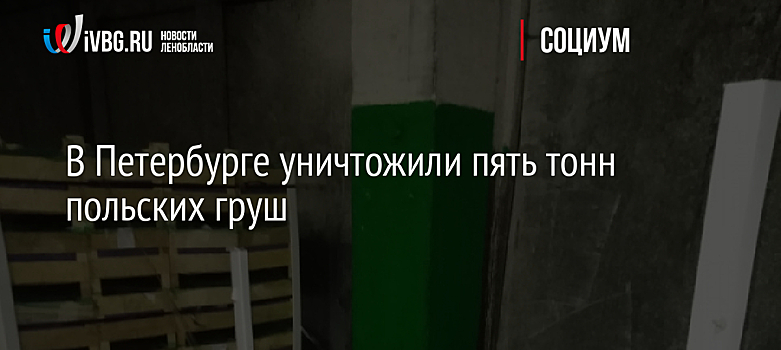 В Петербурге за время новогодних праздников в ДТП погибли 12 человек