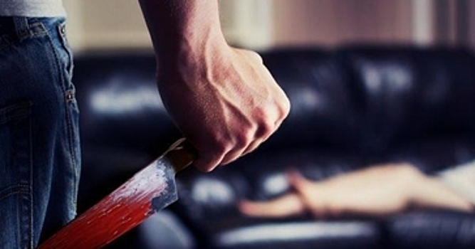 Москвич убил женщину и ее сына в Подмосковье