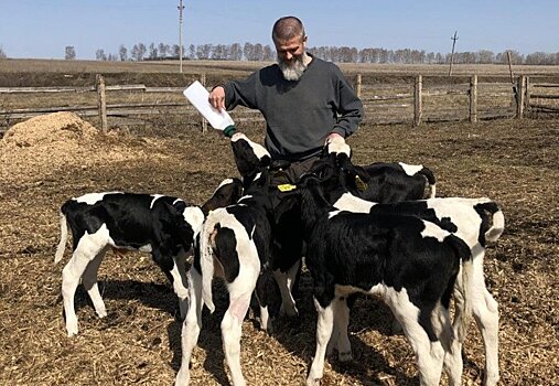 В России клоны животных будут выращивать серийно