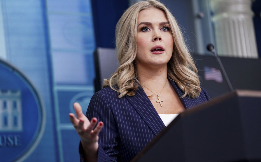 Белый дом отреагировал на решение Европы отправить войска в Гренландию