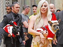 Леди Гага, Седокова, Дава и другие звезды, которые завели собакам страницы в Instagram