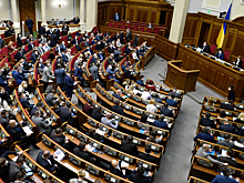 На голову депутата Рады упал дверной засов