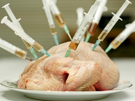 Индия запретила использование антибиотиков на птицефабриках