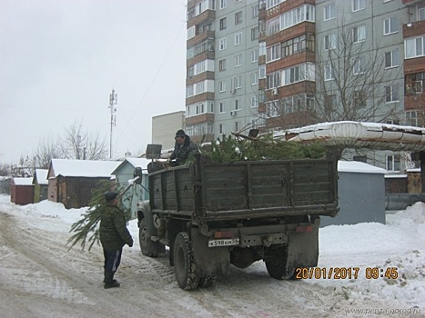 В Пензе убирают елочные свалки
