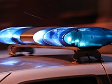 Полицейский сбил прохожего и скрылся с места ДТП в Подмосковье