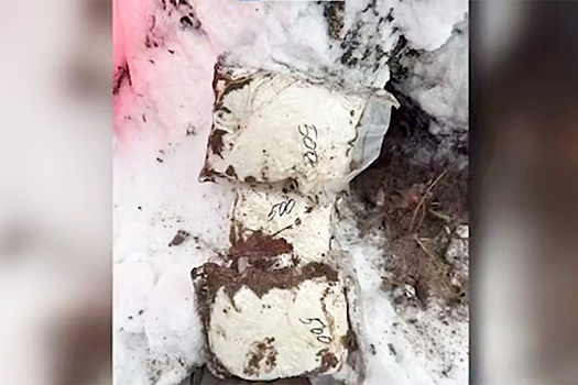 Минск: Перекрыт крупный канал поставки психотропов в страну