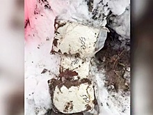 Минск: Перекрыт крупный канал поставки психотропов в страну