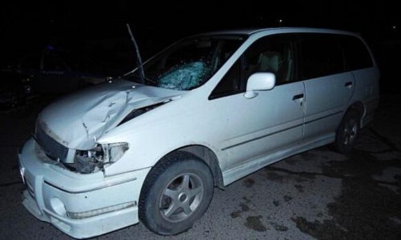 В Забайкалье водитель насмерть сбил пешехода, шедшего вдоль трассы