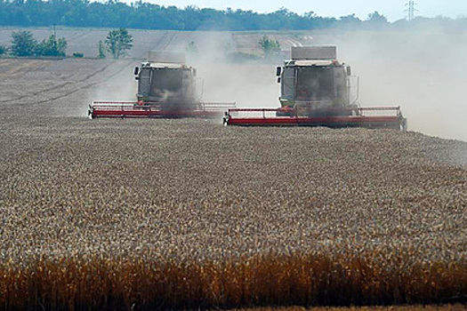 Прогноз по сбору урожая в России резко ухудшили