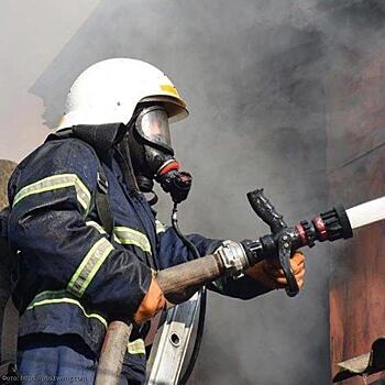 15-летний школьник из Подмосковья спас из горящего дома двух брошенных малышей