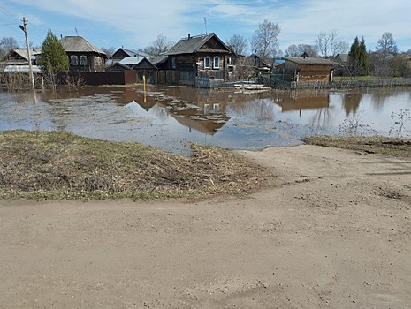 Роспотребнадзор о паводке в Балашове: Колодцы, мусорки и кладбища в зону подтопления не попали