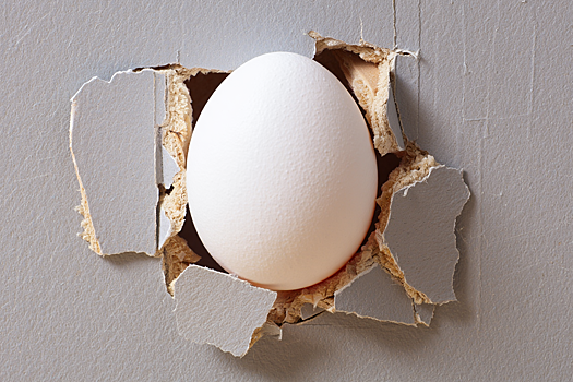 Яйца в стенах новостроек: эксперт рассказал, что делать с вымогателями