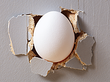Яйца в стенах новостроек: эксперт рассказал, что делать с вымогателями