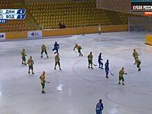 Гордимся: костромич в пятый раз получил кубок России по хоккею с мячом