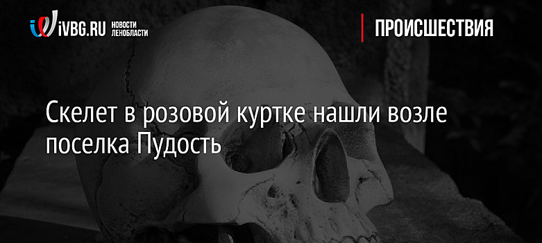 Скелет в розовой куртке нашли возле поселка Пудость