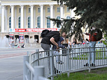 В Тюмени началась фоторегистрация зеленых насаждений