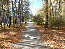 Заморозки до -4 градусов ожидаются в Волгоградской области 19 октября