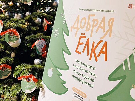 Больше 20 организаций Москвы присоединятся к акции "Добрая елка" – Немерюк