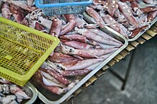Биолог Трофимова: для здоровья кальмары стоит есть хотя бы раз в неделю