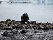 На Земле Франца-Иосифа впервые изучили макробеспозвоночных