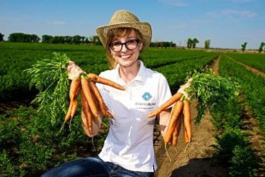 Аграрии Ставрополья обсудили, как получить высокий урожай в 2020 году