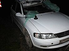 Плохой день: водитель Opel получил штраф, а потом улетел в кювет