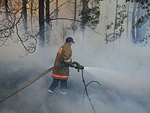 Украина нашла виновных в пожарах у Чернобыльской АЭС