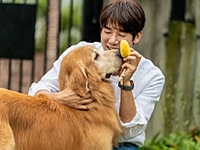 Какие фильмы смотреть в кино с 25 мая