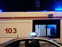 В Бурятии два человека погибли при наезде машины на остановку