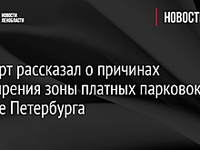 Эксперт рассказал о причинах расширения зоны платных парковок в центре Петербурга
